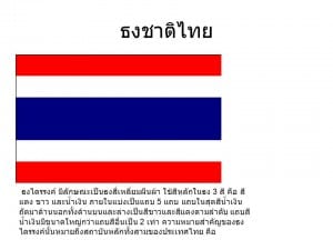 flag-th