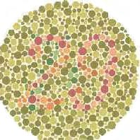 ทดสอบตาบอดสีหรือเปล่า