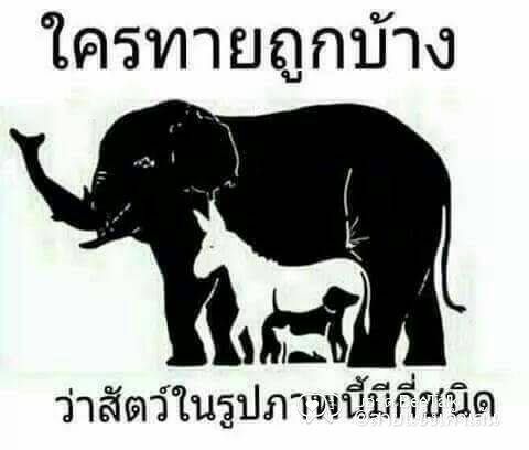 ใครทายถูกบ้าง??