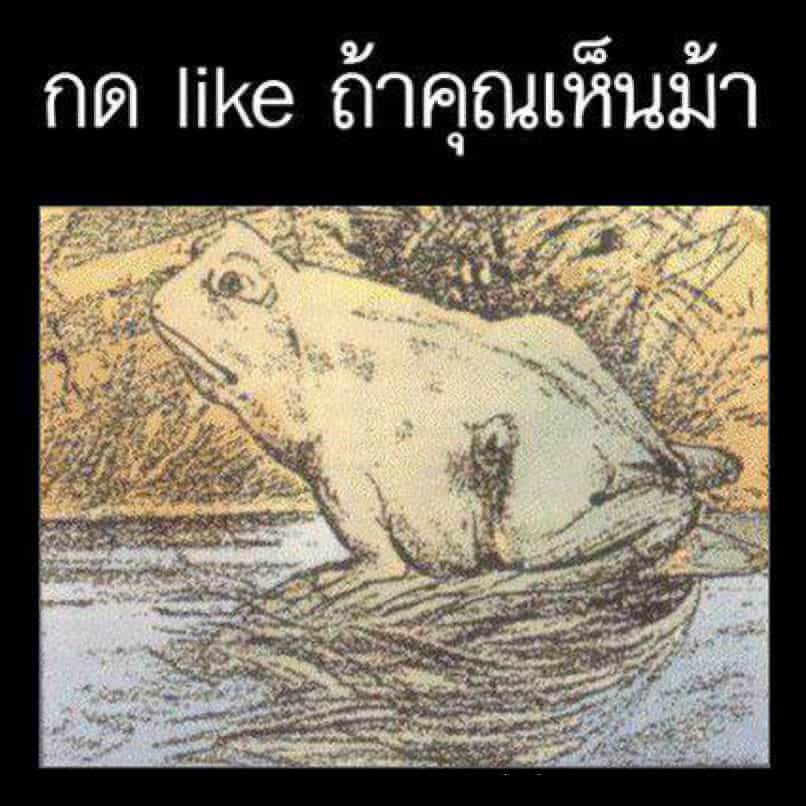 กด like ถ้าคุณเห็นม้า